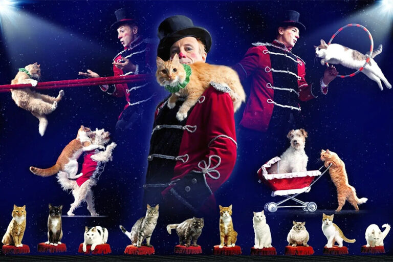 Popovich Comedy Pet Theater Discount Tickets